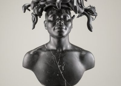 Koen Vanmechelen's Black Medusa, 2021