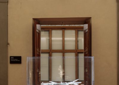 Seduzione. Koen Vanmechelen at Gallerie degli Uffizi, Firenze